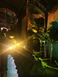 -恐龙探索乐园(磁器口店)