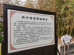 -天宁寺