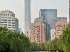 -团结湖公园