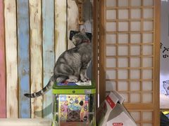 -小时光咖啡馆(开森度假森林店)