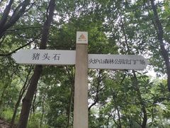 -火炉山森林公园