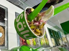 -Salud撒露欧洲冻酸奶(蓝色港湾店)