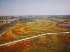 -金卉庄园