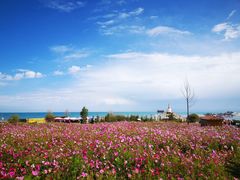 -青海湖国家重点风景名胜区