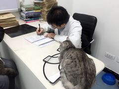 -佳怡动物医院·平价24小时·猫专科骨外科