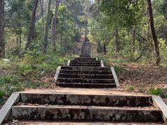 -青龙山国家森林公园