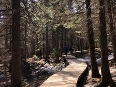 -芦芽山旅游度假区