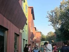 -京师双语幼儿园