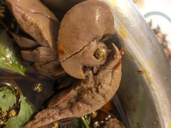 配菜-米二红烧兔(华阳店)