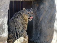 -青藏高原野生动物园