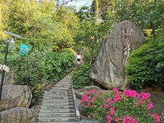 -仙岳公园