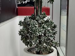 -必胜客(萍乡润达店PH店)