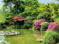 -中国茶叶博物馆(双峰馆区)