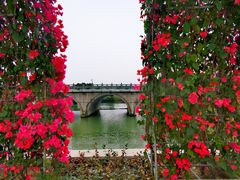 -三垟湿地
