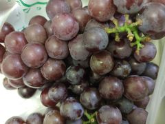 -世纪联华超市(凤起店)