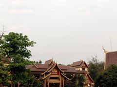 -西双版纳原始森林公园