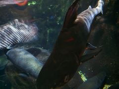 -太平洋海底世界