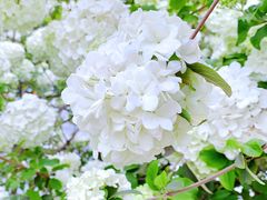 -大龙山(地铁站)