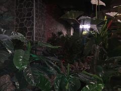 -泉城欧乐堡戏水湾艺术养生温泉