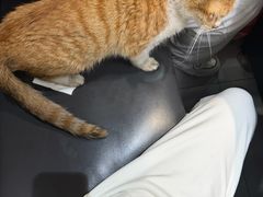 -味仙疯美蛙鱼头(清扬路总店)