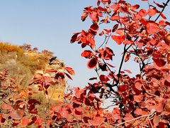 -北京西山国家森林公园