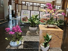 -黔蘑菇四季餐厅(观山湖店)