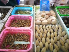 -大湾区中央湿地公园-十九涌
