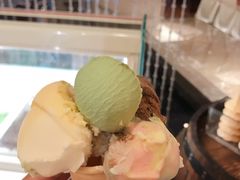 -都喜天丽富都青枫苑酒店-青枫小筑