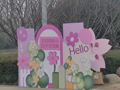 -高东镇樱花园