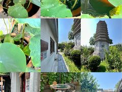 -万松老人塔