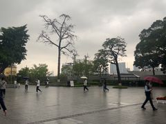 -长洲岛