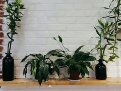 -拌面小当家