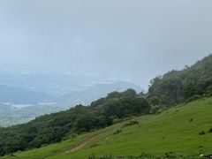 -大姆山草场