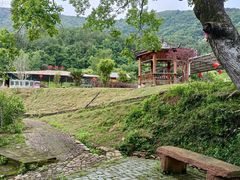 -梁野山景区