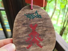 -呀诺达热带雨林