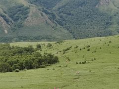 -灵山