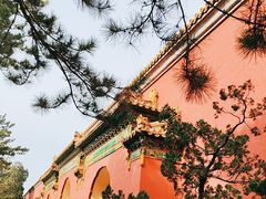 -北京市劳动人民文化宫(太庙)