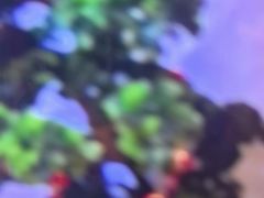 -尚荟汤泉生活馆