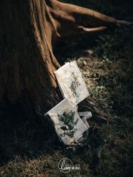 -蘭club婚礼策划