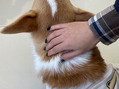 -怪兽屋·羊驼·猫咖·狗咖(俊华广场店)