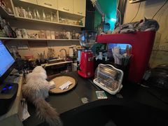 -猫色咖啡·猫咖