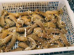 椒盐皮皮虾-阿明小菜·海鲜·上海菜(梅陇店)