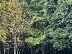 -LALA LAND日落半岛露营地