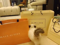 -lincat·猫舍(广州店)