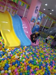 -开心果儿童乐园