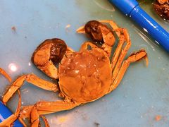 -星伦多自助料理(华润万象城店)
