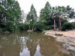 -苏州河梦清园环保主题公园