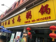 -蚝专家