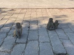 -重庆雨台山风景区