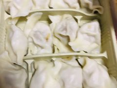 猪肉酸菜-东方饺子王(东盛路店)